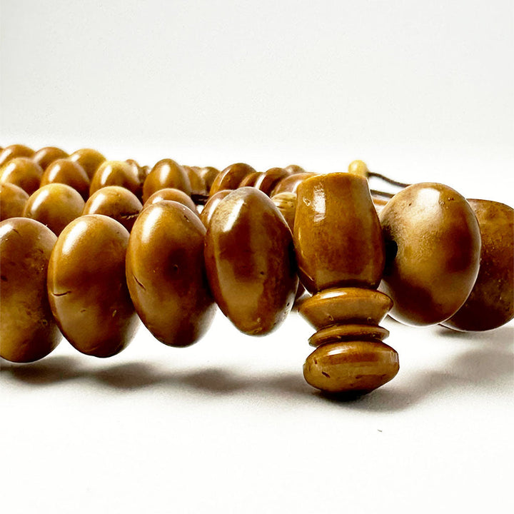 كوك جملي ترمسه 12 ملي 100 حبايه 2 عداد